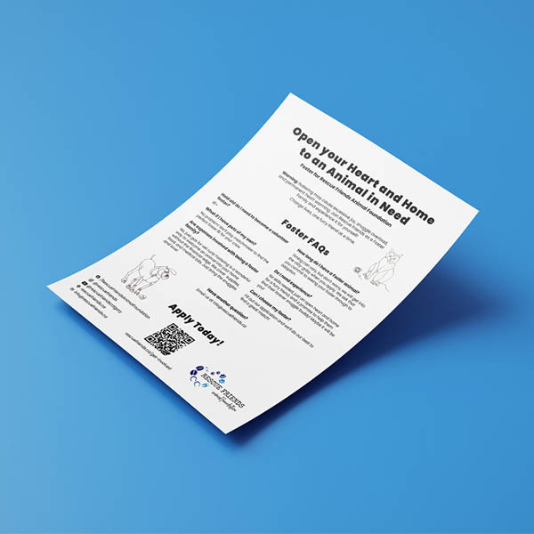 Rescue Friends Mockup